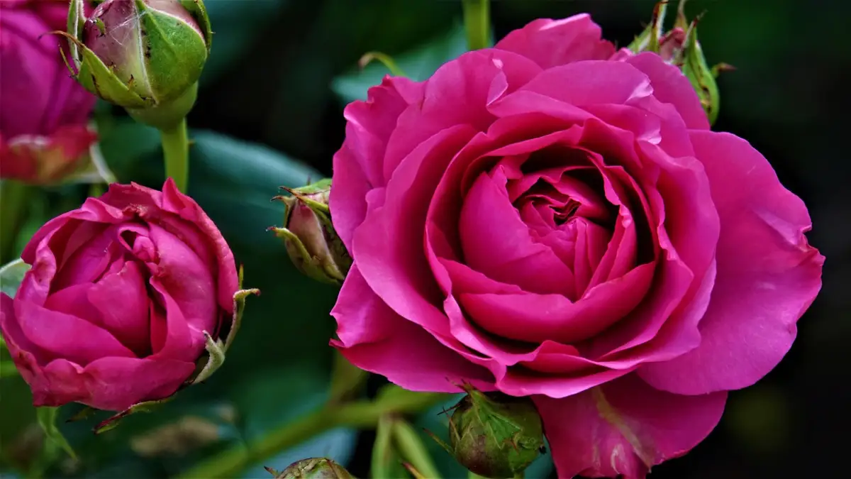 年の差恋愛で生まれる理解と誤解